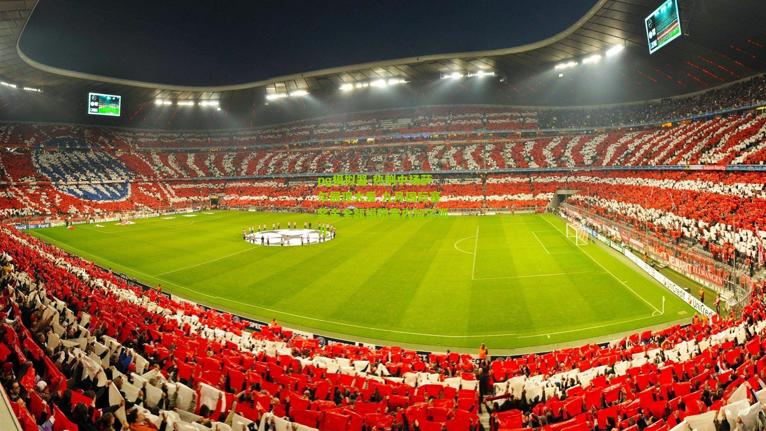 热刺中场萨尔展现大爱 九月国际赛奖金全额捐赠塞内加尔孤儿