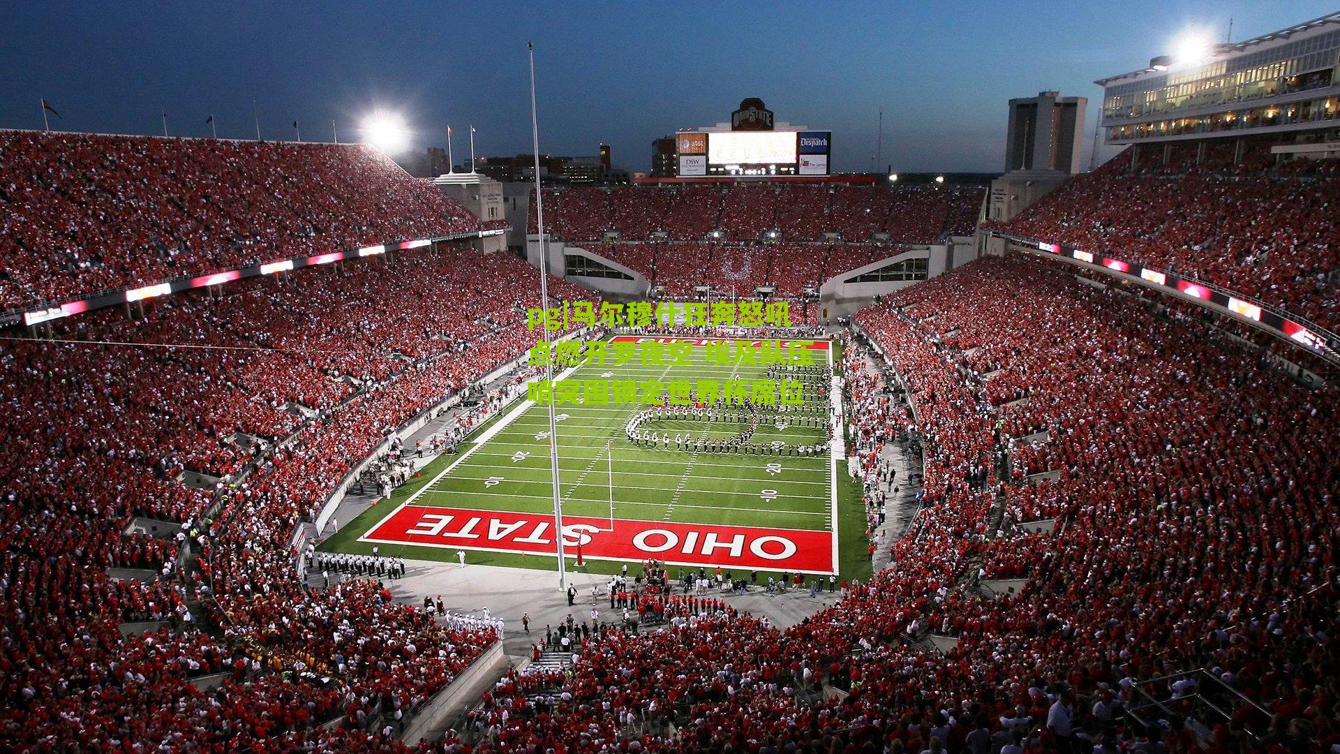 pg|马尔穆什狂奔怒吼点燃开罗夜空 埃及队压哨突围锁定世界杯席位