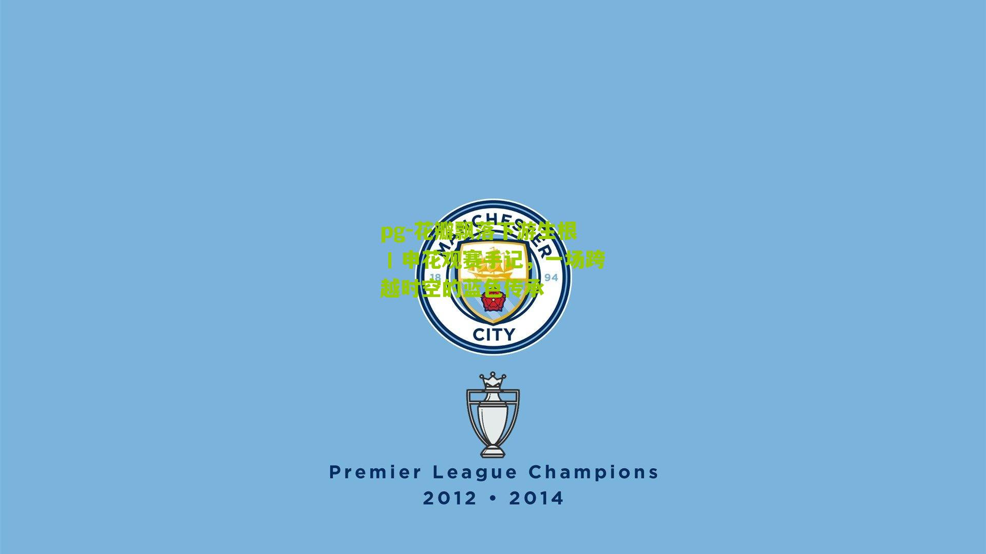 pg-花瓣飘落下游生根丨申花观赛手记，一场跨越时空的蓝色传承