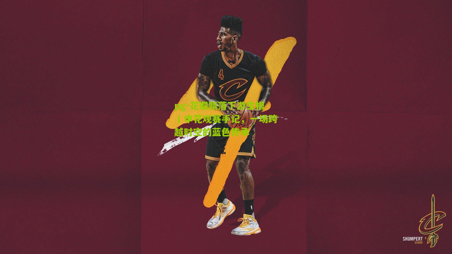 花瓣飘落下游生根丨申花观赛手记，一场跨越时空的蓝色传承