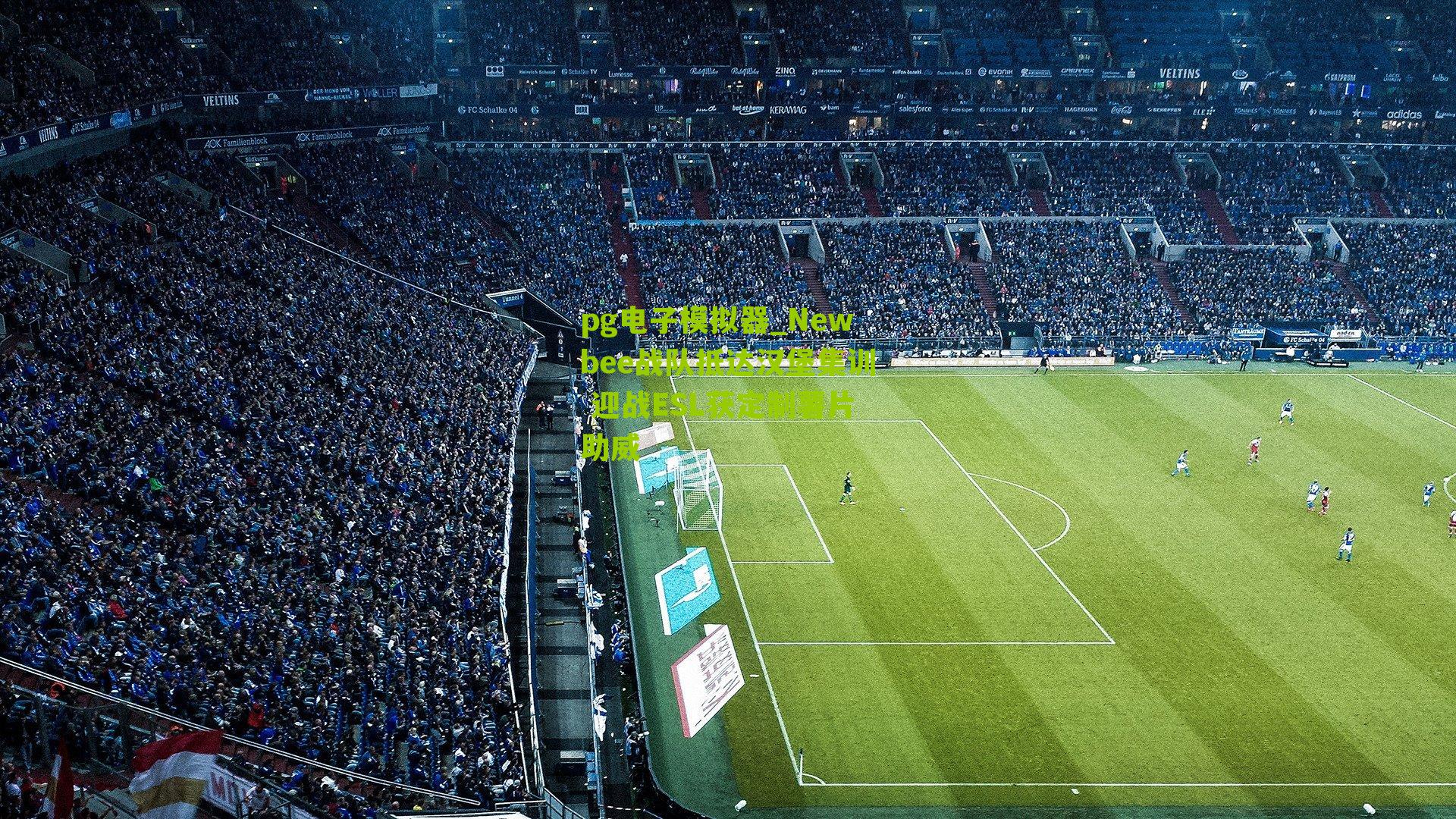 Newbee战队抵达汉堡集训 迎战ESL获定制薯片助威